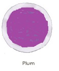 Plum Caromed 4in. dia. Cold Pack with Fabric Back